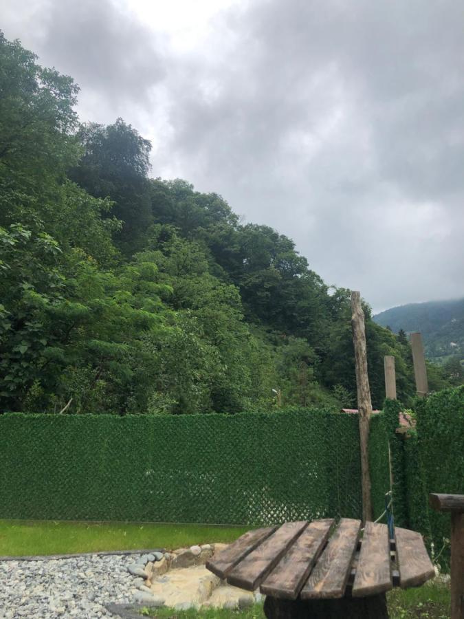Afara Bungalows Otel & Cafe リゼ エクステリア 写真